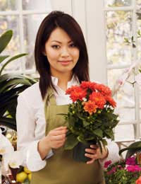 Floristry Jobs Florists Employment