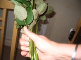 flower1