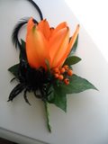 buttonwholeorange