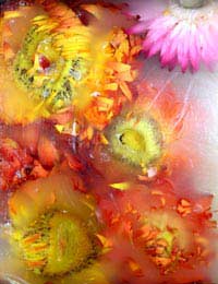 Flowers wax Flowers waxed Flowers