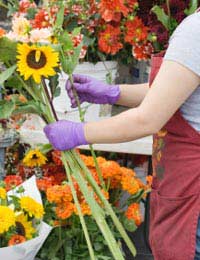 Flowers Floristry Florist Flower Shop