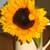Choosing Vases