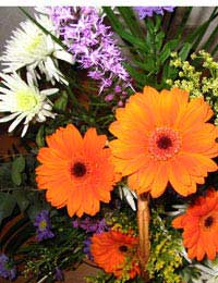 Flowers bouquets budget Bouquets